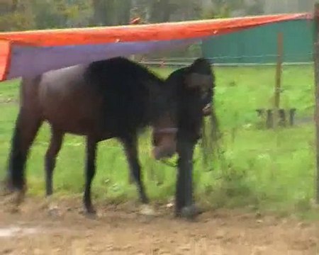 cmg angels bolero from fear to trust ! VOA TRAINING