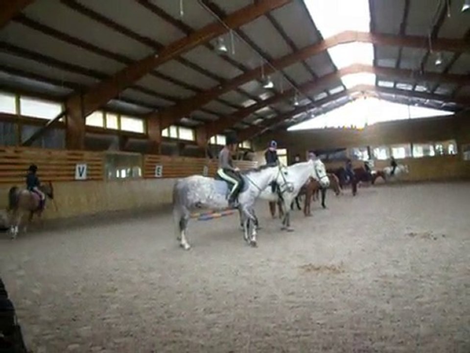 galopgalop...Némo!