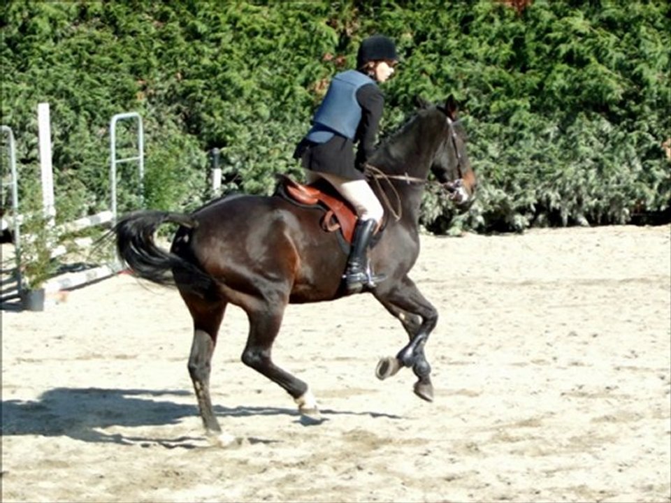 A toi, petit cheval...
