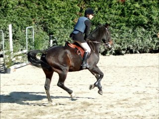 A toi, petit cheval...