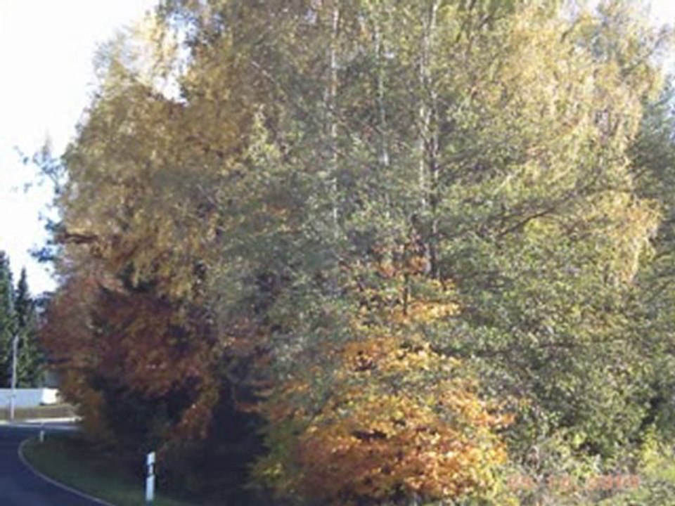 Der Herbst ist schön