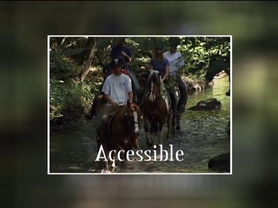 Clip Conseil Général de la Vienne 2008