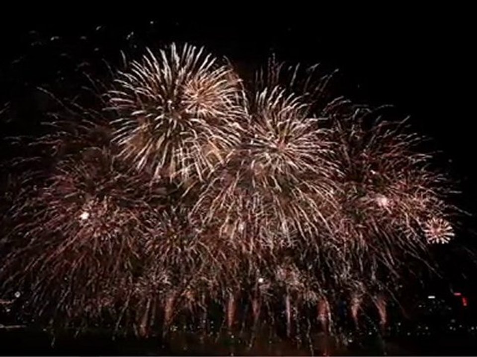 Firework Paris 2010 - vegaelec - English