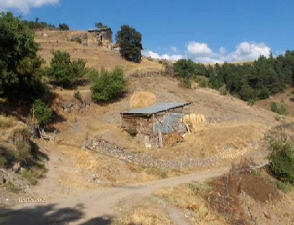 Tokat-Resadiye Sazak Köyü_ Damla Yildirim- Fadik