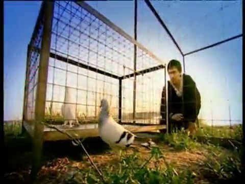 Zara & Ekrem Düzgünoğlu - Bir Fırtına Tuttu Bizi