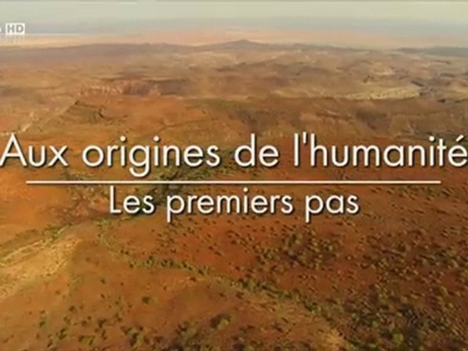 1_3 Aux origines de l'humanité 1_3 les premiers pas