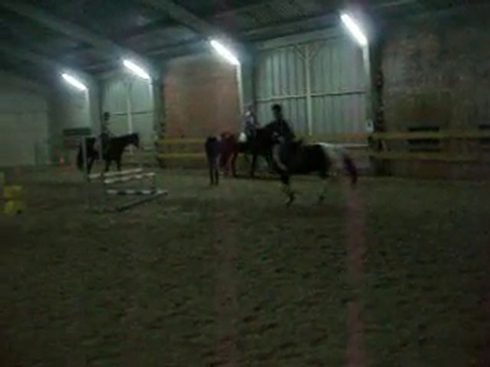 Diabolo et moi en saut d'obstacle. ( Oxer. )