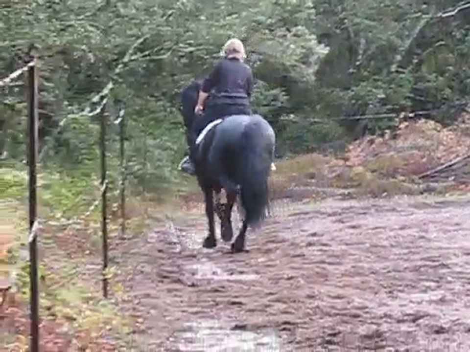 Stage Oct 2010 Helene et Saryis