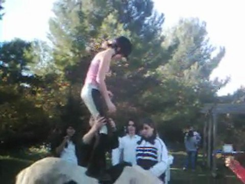 Voltige au poney club