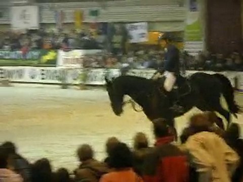 2m10 Puissance pontivy 2010 Johnny Boy II Jean Marie Martin