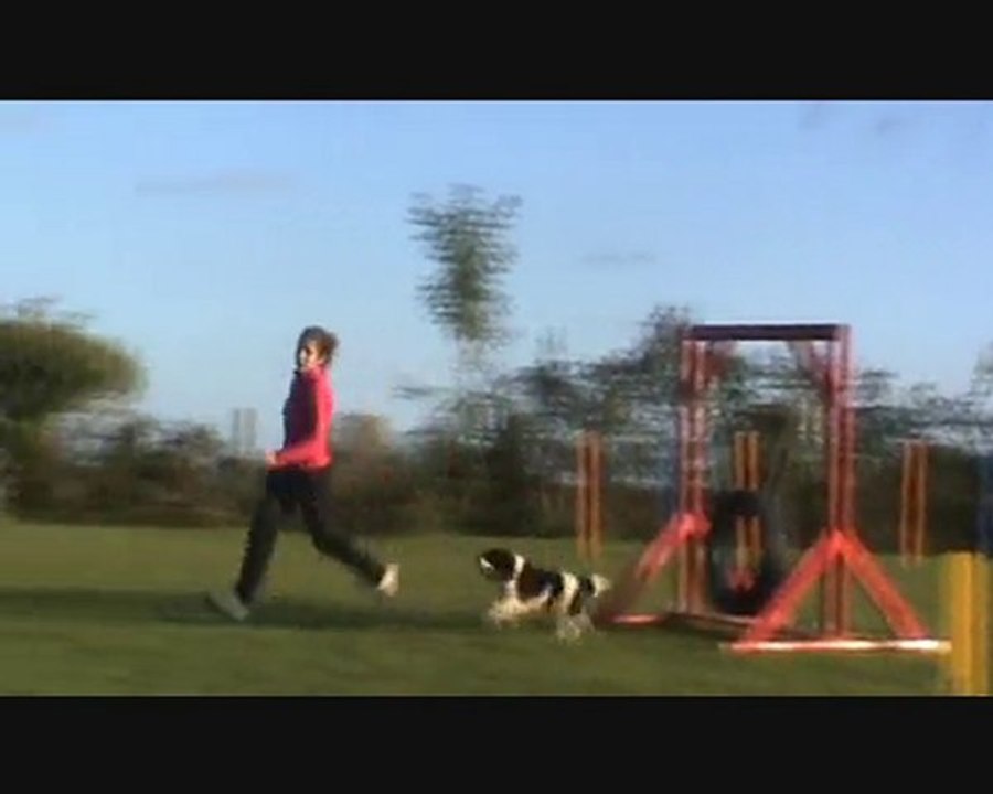 Carla & Cameron Entraînement Agility 24 Octobre 2010