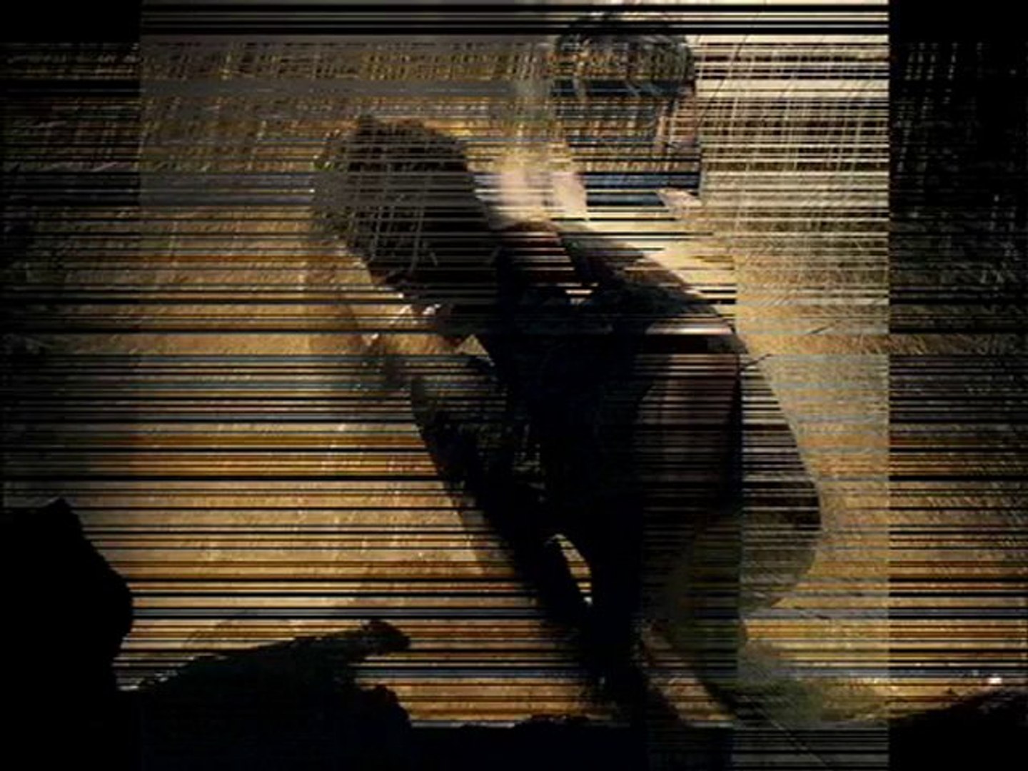 yaban gülü içindeki sır