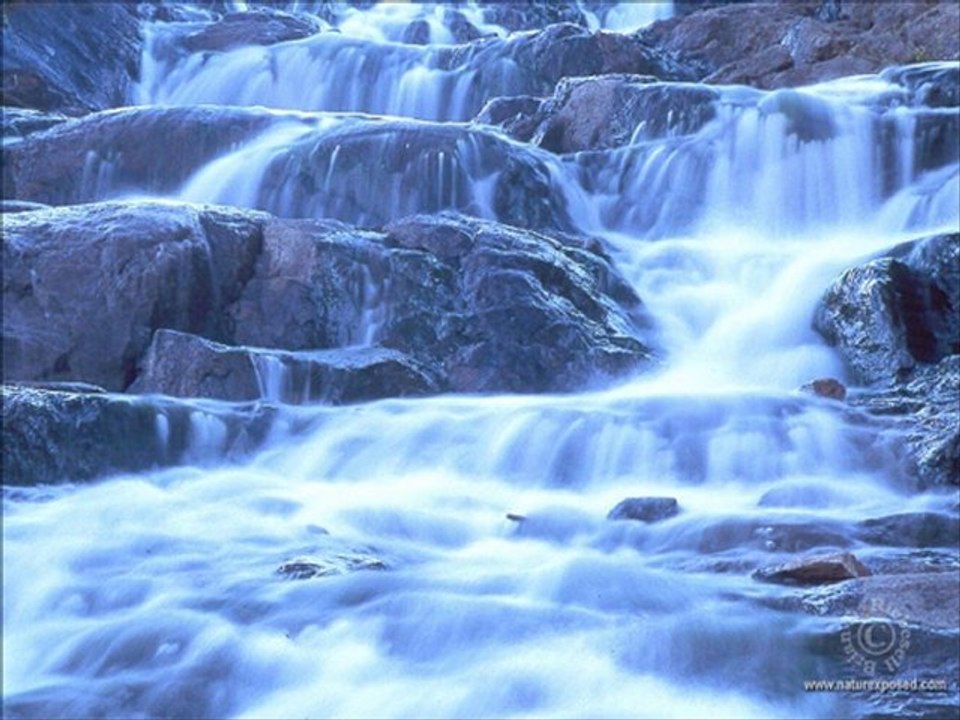 Celaleddin Ada (sürgün)