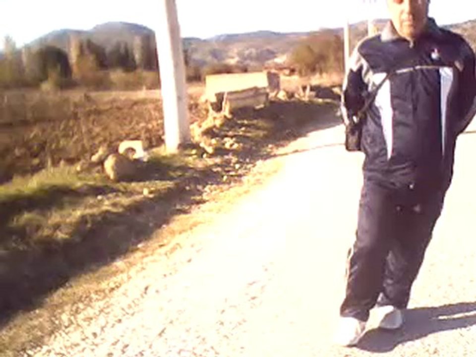 MOV0041A