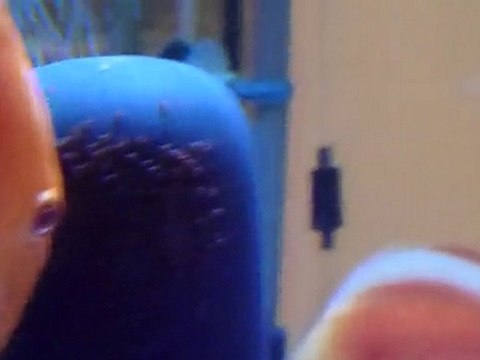 Albino red golden diamont yumurtaları