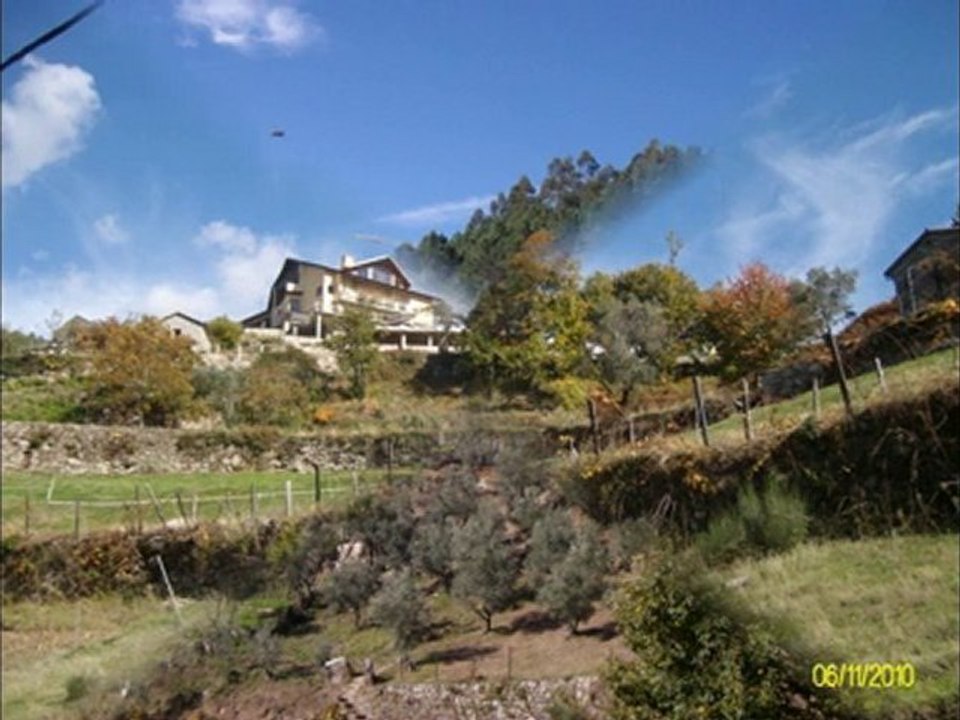 VÍDEO DE FOTOS DE LORIGA VERDEJANTE