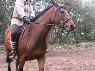 Stage Oct 2010: Estelle et Sultane