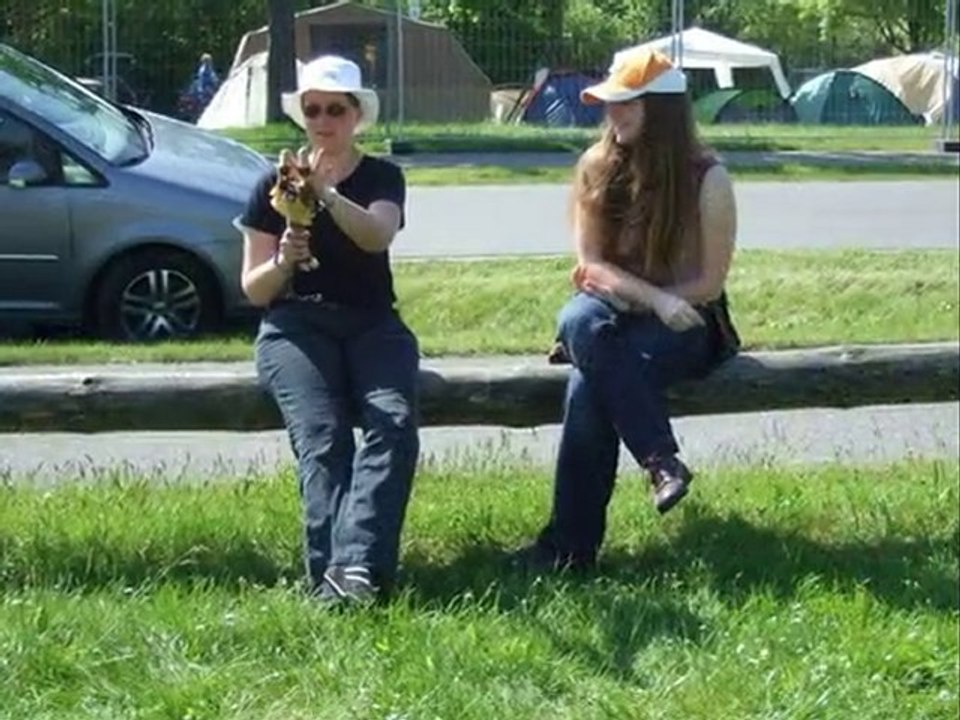 Sorties 2010