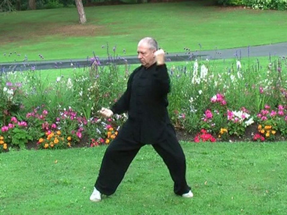 Taichi Chen 2e partie