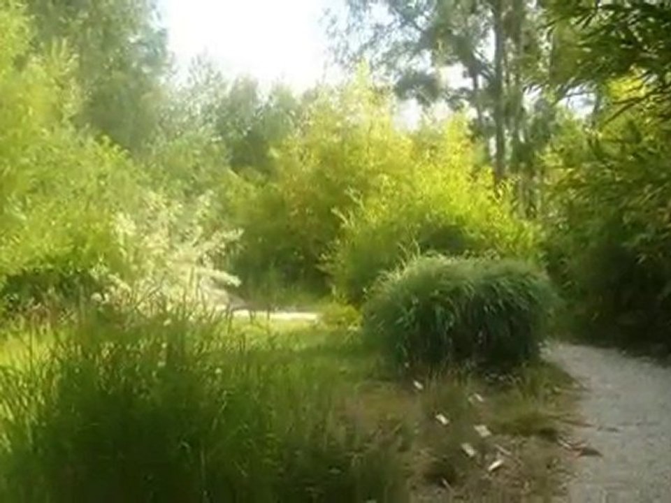 Jardin Botanique de Marnay-sur-Seine-06.09