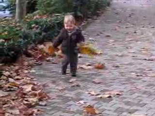Les feuilles d'automne