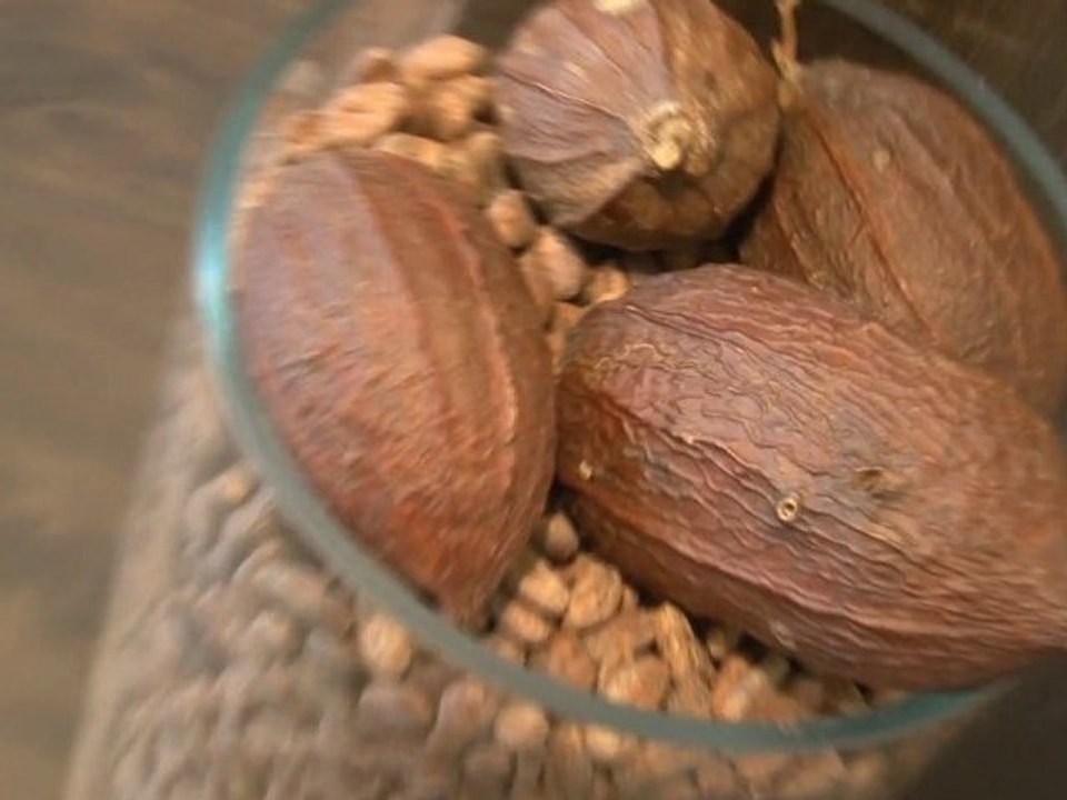Sensation Chocolat  : Boutique / Bar à Chocolat