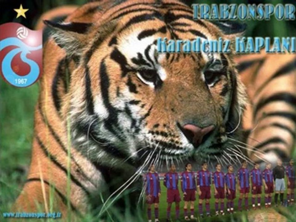 Trabzonspor-Galatasaray 07.11.2010[Kazım Koyuncu-Oy Trabzon]