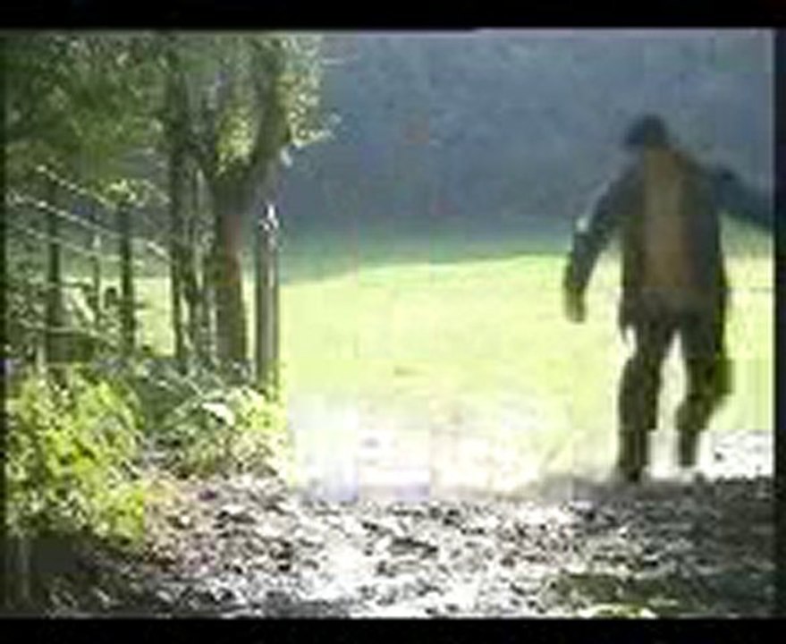 LE PAUVRE