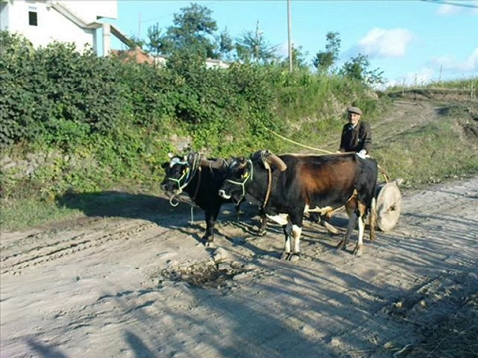 Haliluşağı Köyü ManzaraLar