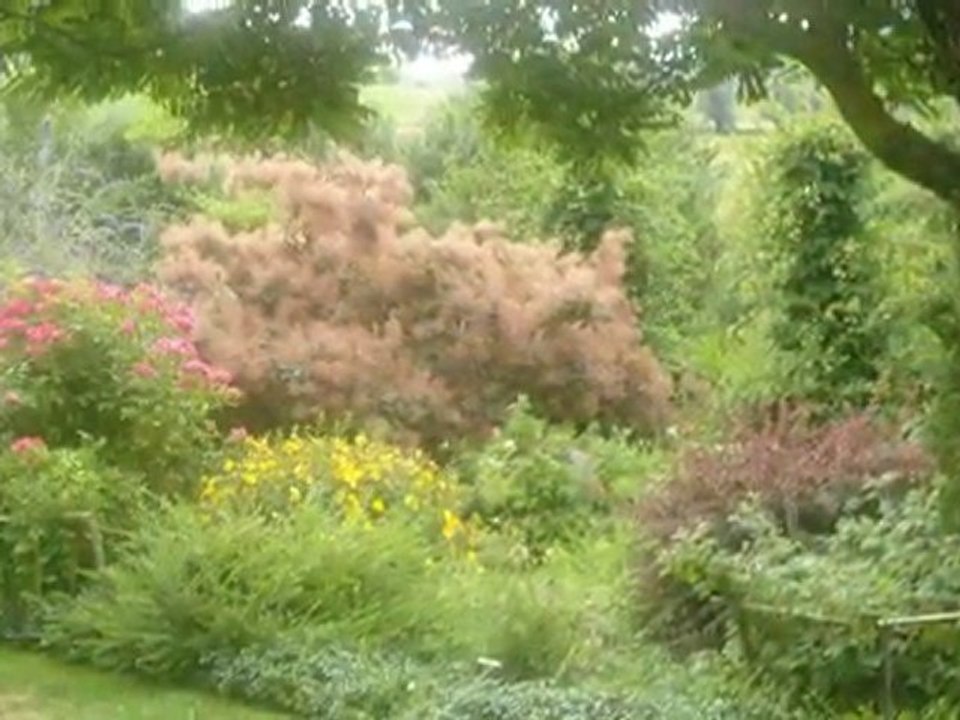 Jardin du Zéphir-07.09