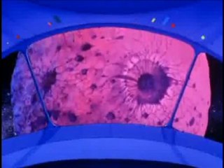 Filmation Ghostbuster- Scareplane riff part2