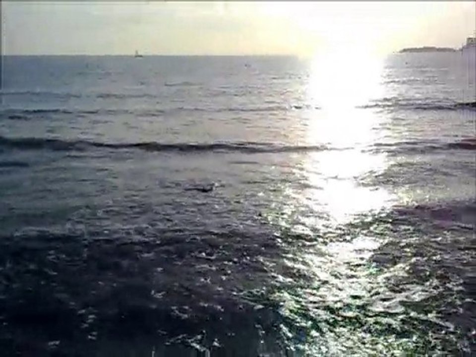 Pêcher la dorade royale en Surfcasting méditerranée!!