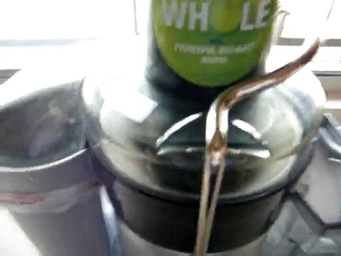 Breville Juicer Juice Fountain on Ebay Auction