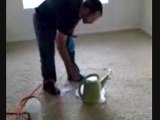 Carpet cleaning pet stains denver