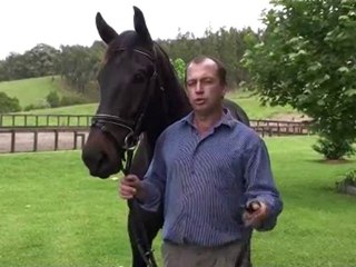 Quality Horse Products At HorseSuppliesOnline