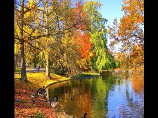 Rêverie //  day dream