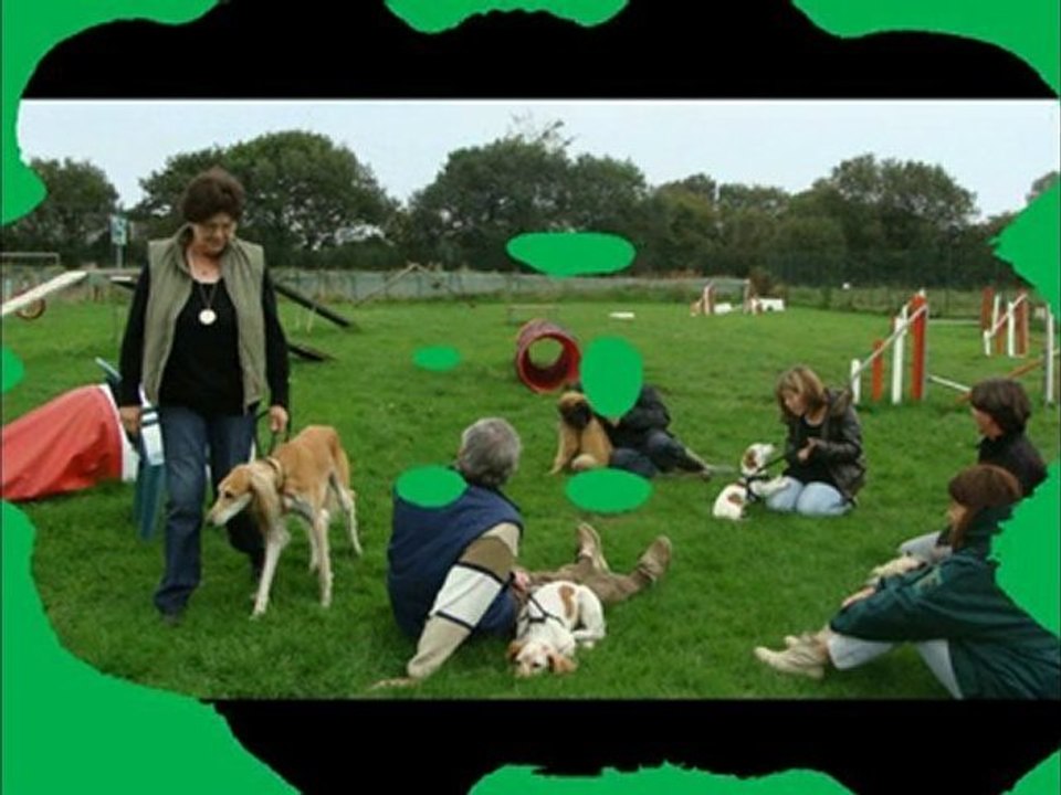 chiots071010