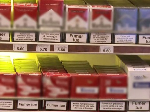 Le Journal vidéo du lundi 8 novembre 2010, édition de 12H00.