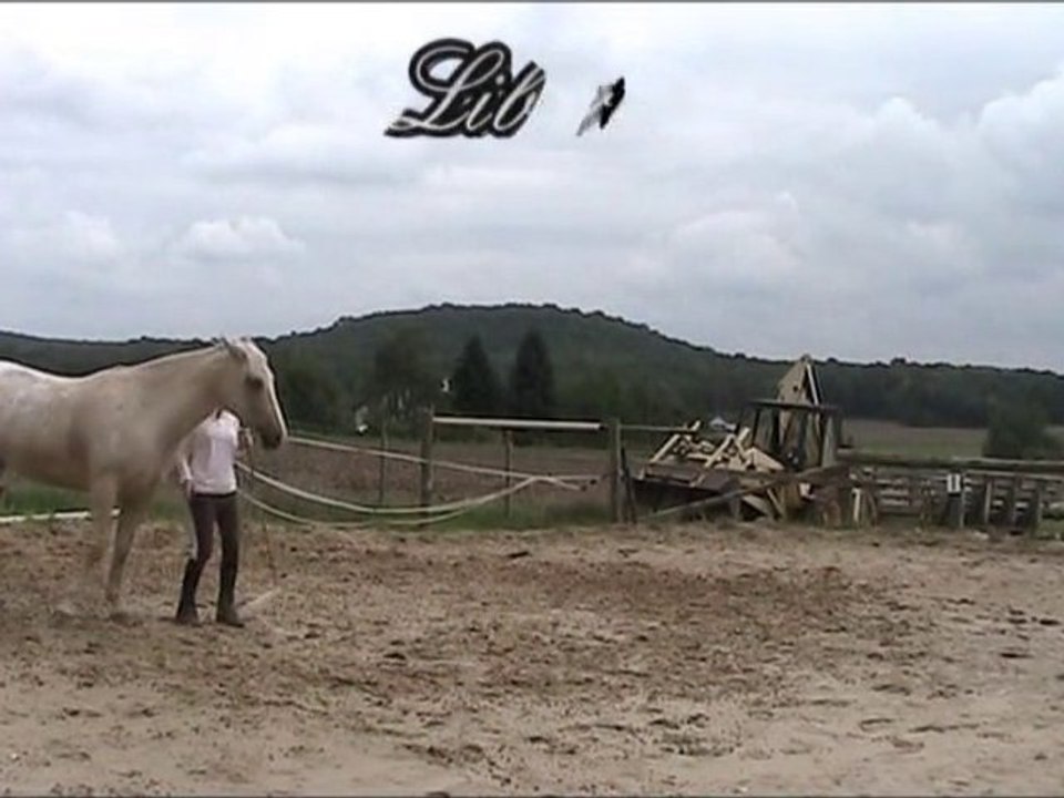 Contrôle des hanches, déplacments latéraux et liberté