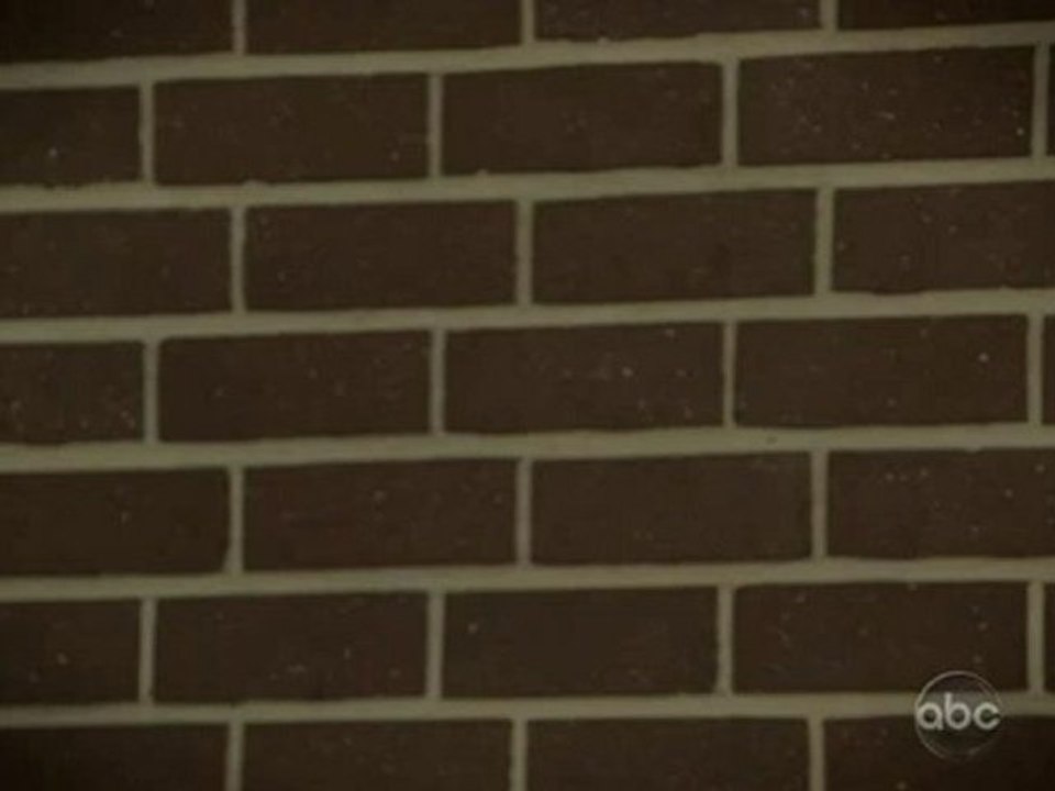 Two and a Half Men season 8 episode 8  Springtime on a Stick