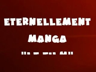 EPJ-EternelManga2010