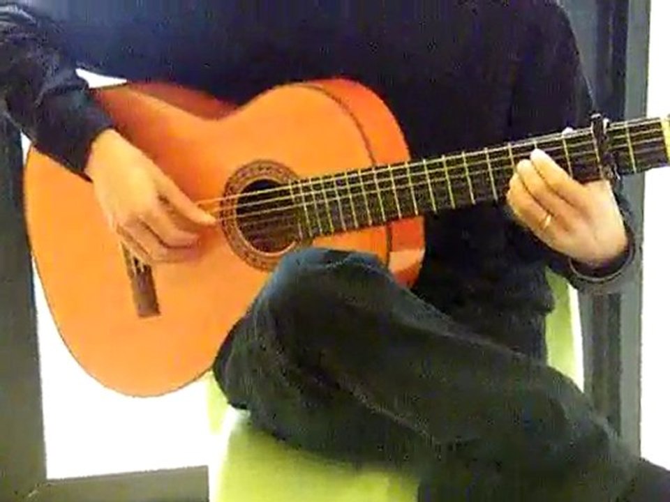 flamenco 001