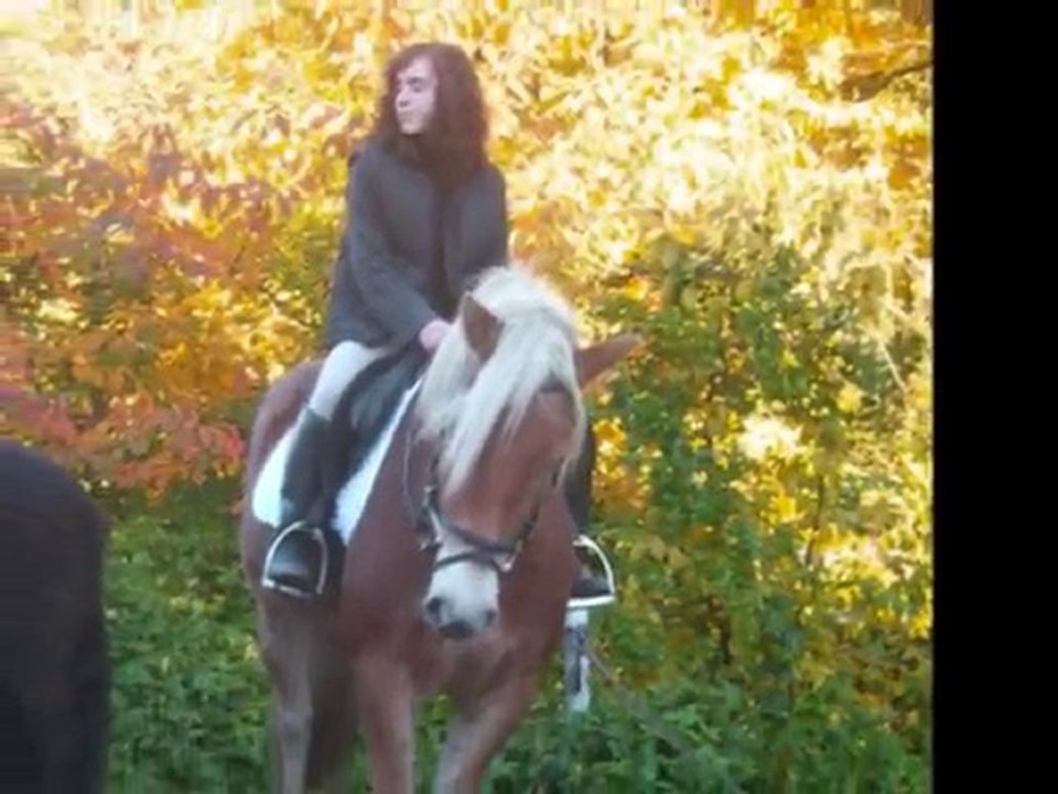 saint hubert 2010_0001