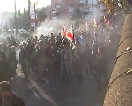 13000 Morpions à Alès