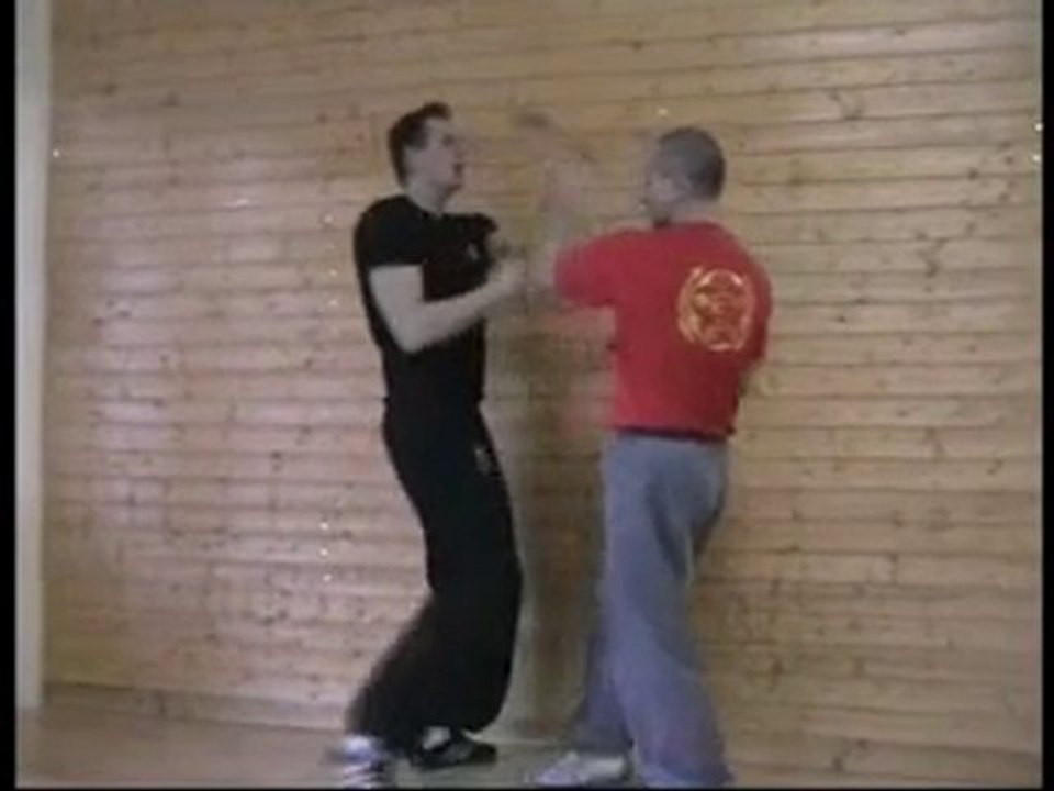 Sifu Yannis Teaching Chi Sao 4