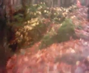 3eme et derniere partie trouver le colis le 07 11 2010