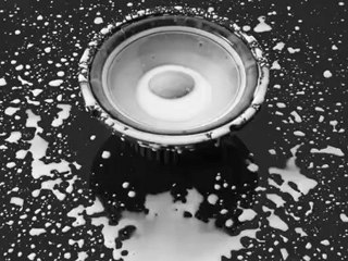 Plissken festival 2010