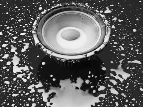 Plissken festival 2010