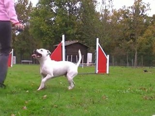 Eclipse ECV slalom et saut