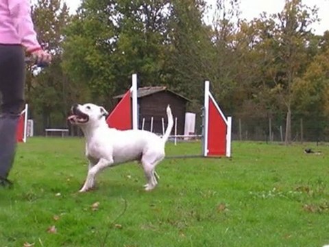 Eclipse ECV slalom et saut